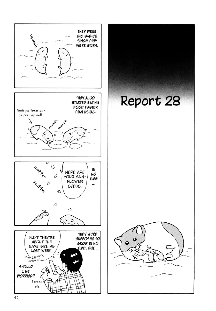 Hamster no Kenkyuu Report Chapter 25 1